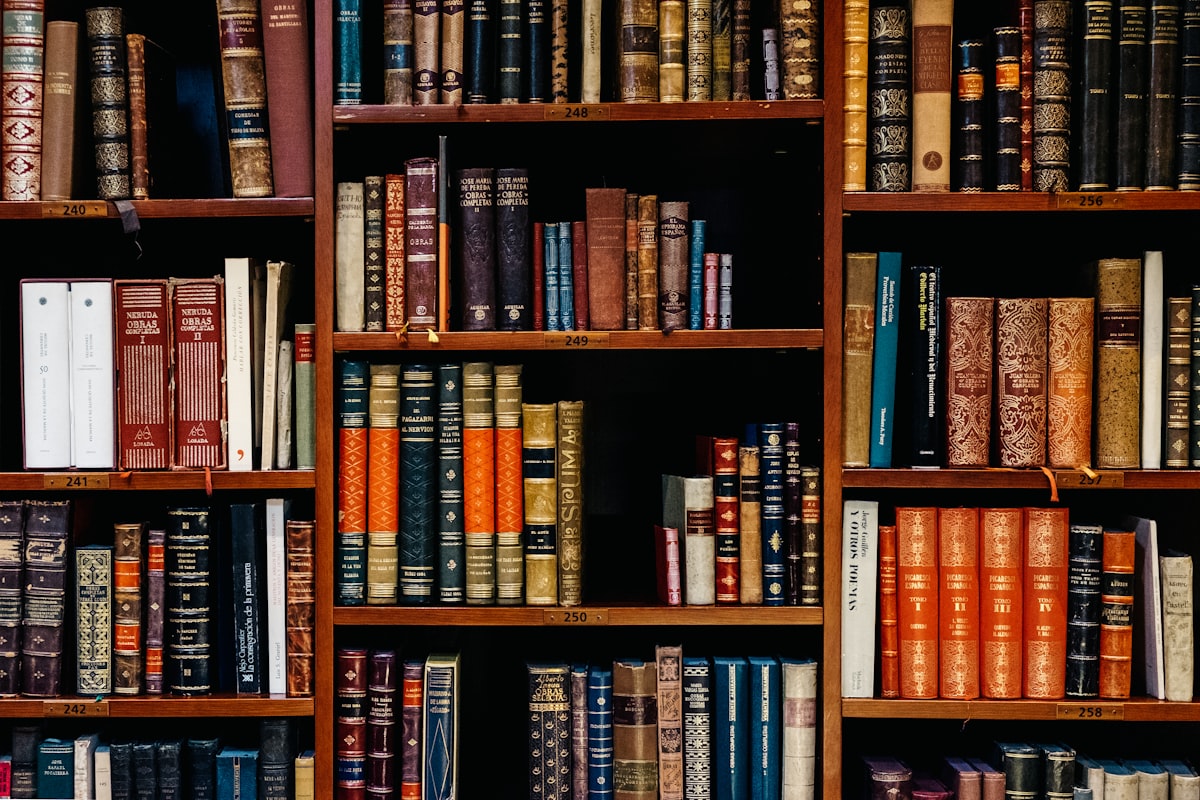 Kütüphane ve kitap koleksiyonu